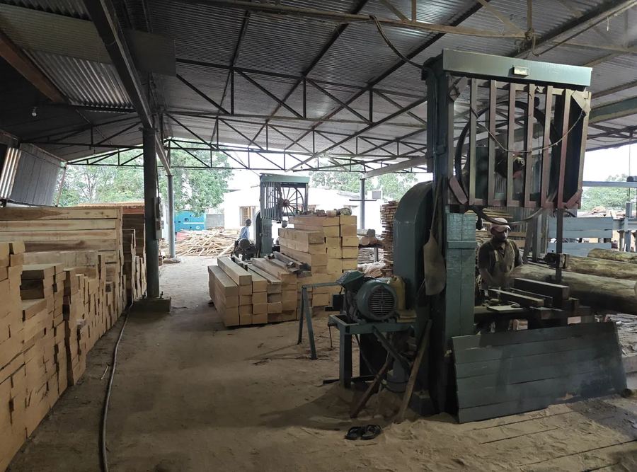 Sawyer feeding a teak log into a band saw, with stacked sawn sizes on the left